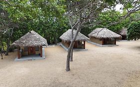 Peanut Farm Arugam Bay