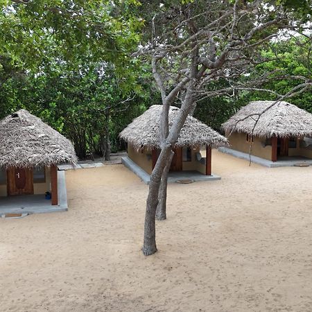 Peanut Farm Surf And Wild Resort - Arugambay Аругам Экстерьер фото