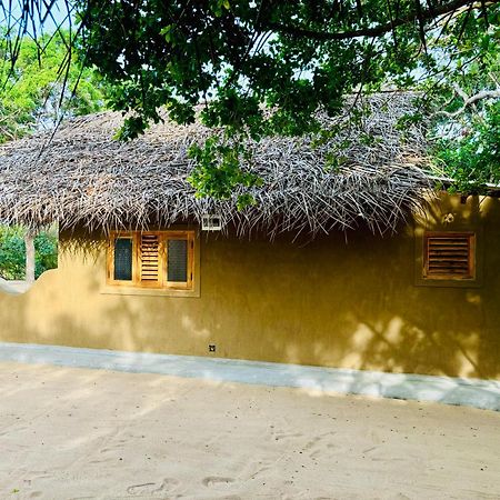 Peanut Farm Surf And Wild Resort - Arugambay Аругам Экстерьер фото