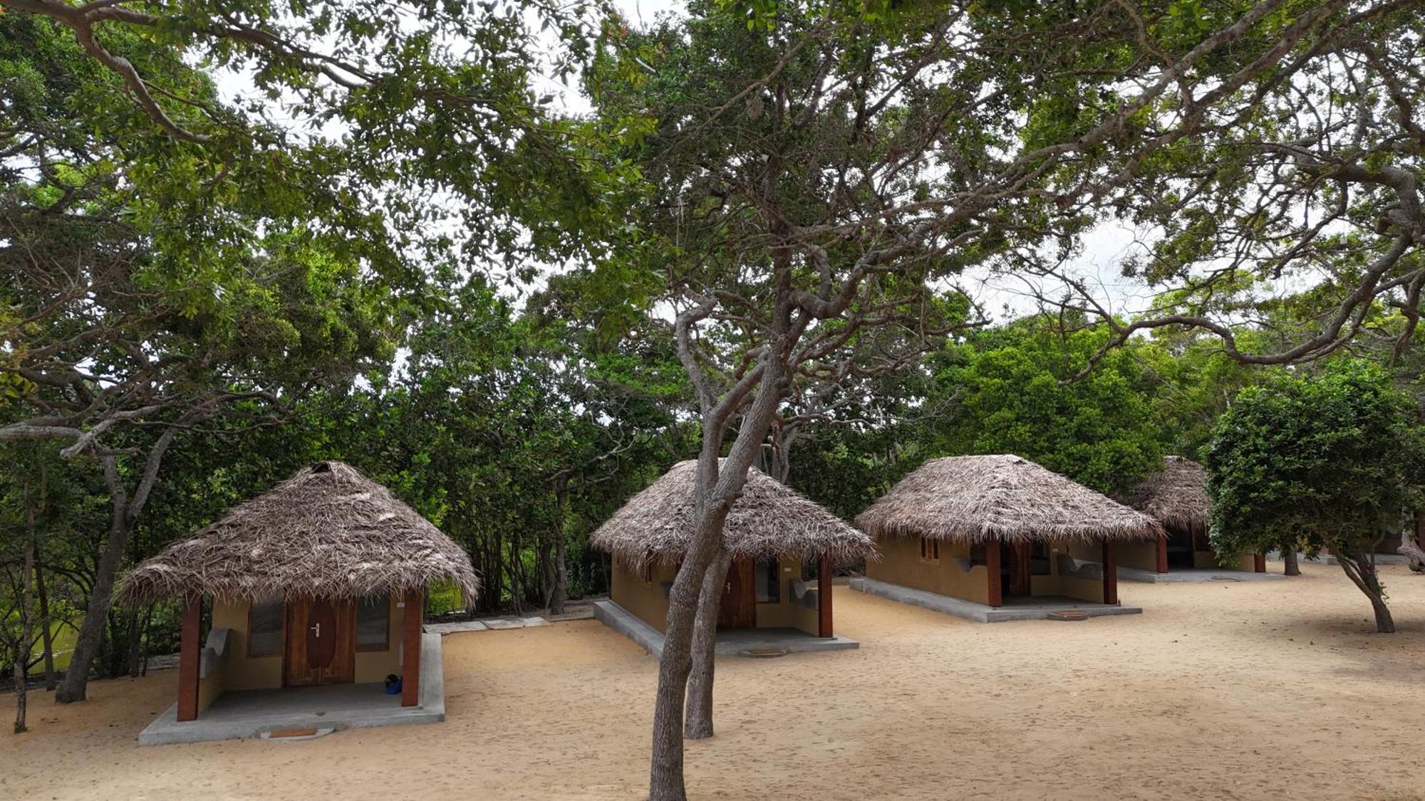 Peanut Farm Surf And Wild Resort - Arugambay Аругам Экстерьер фото