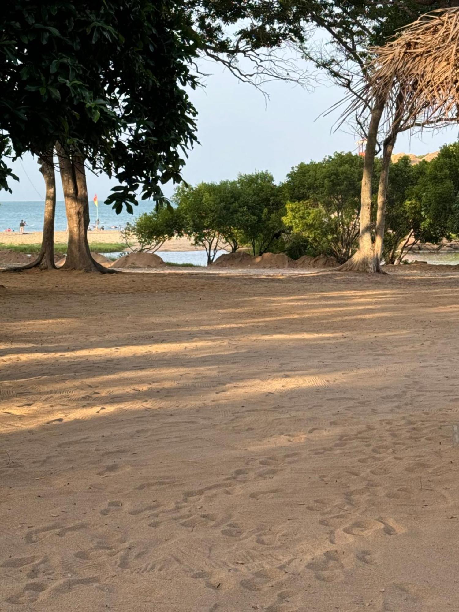 Peanut Farm Surf And Wild Resort - Arugambay Аругам Экстерьер фото
